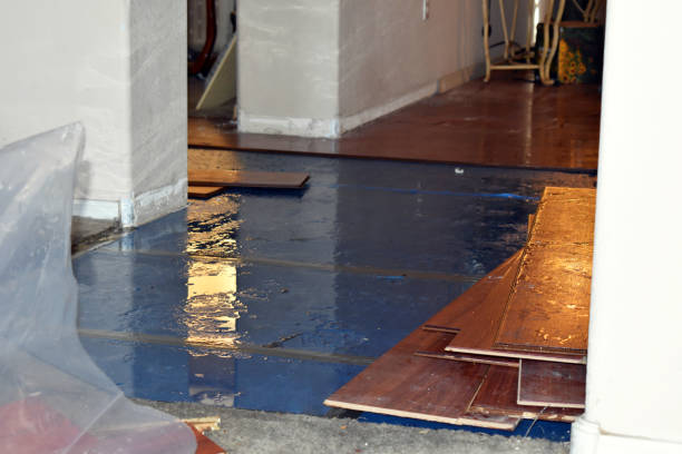 Professional Burst Pipe Cleanup technician working in Crete, NE